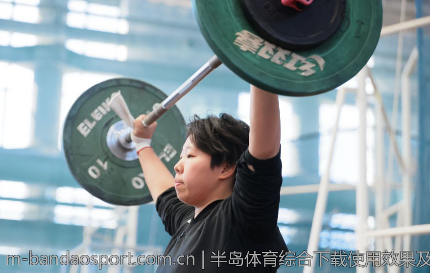 半岛体育综合下载使用效果及反馈分析