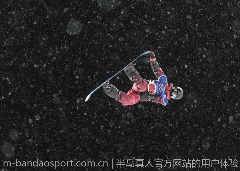 半岛真人官方网站的用户体验