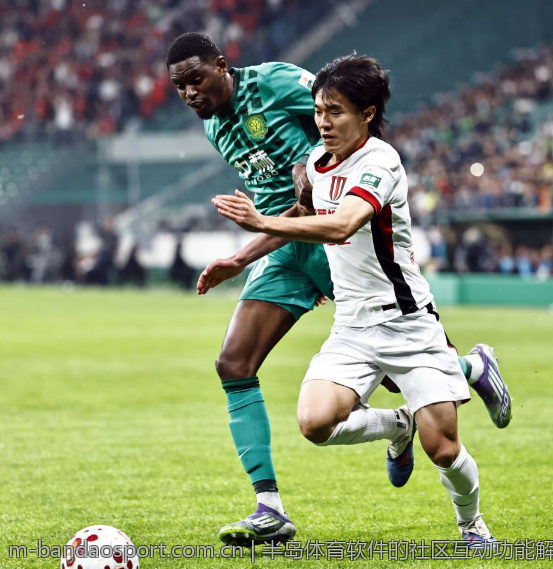 半岛体育软件的社区互动功能解析
